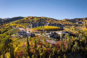 Mountain view with a forest