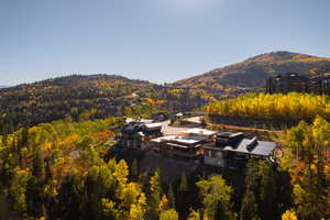 View of mountain background with a forest