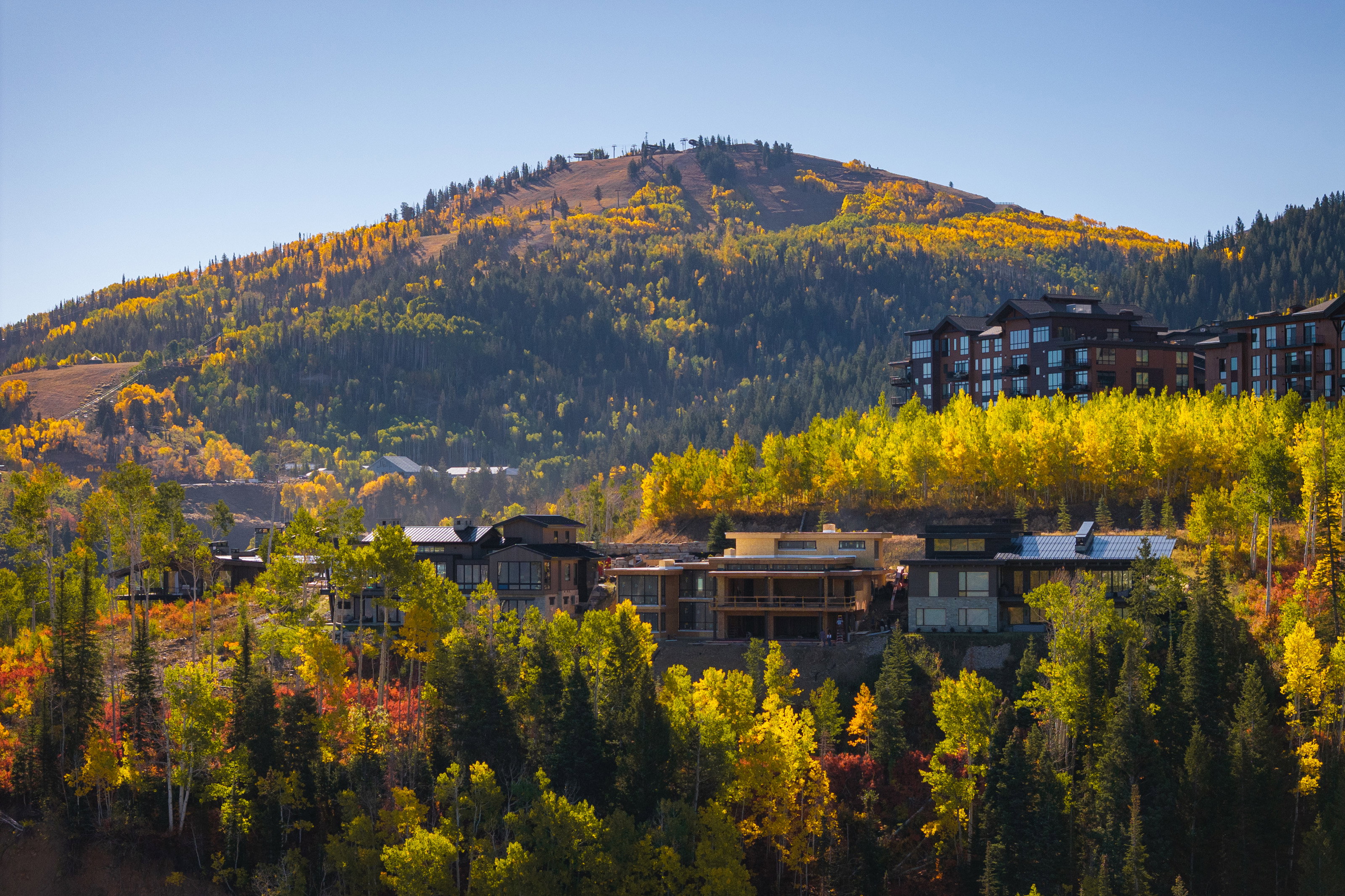 View of mountain background featuring a forest
