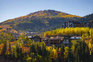 View of mountain background featuring a forest