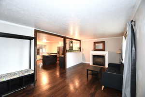 Living room featuring a textured ceiling, a fireplace, ornamental molding, dark wood-style floors, and a baseboard radiator