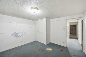 Carpeted empty room with a textured ceiling