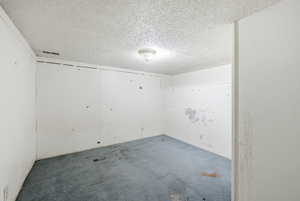 Carpeted spare room with a textured ceiling