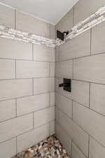 Bathroom view of tiled shower