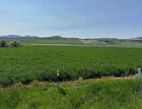 Mountain view with rural landscape