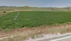Farm ground with view of mountain background with rural landscape