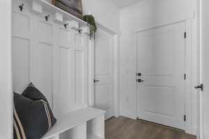 Mudroom featuring dark wood-type flooring