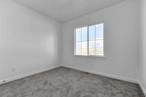 Unfurnished room featuring baseboards and carpet floors