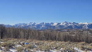View of mountain background