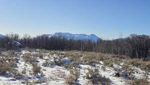 View of mountain background with a heavily wooded area