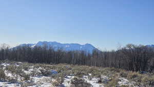 View of mountain backdrop featuring a forest