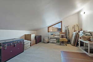 Bonus room featuring lofted ceiling, carpet floors, and a textured ceiling