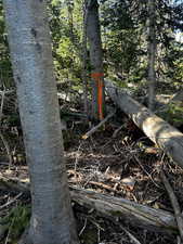 View of undeveloped land