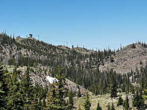 Mountain view featuring a heavily wooded area