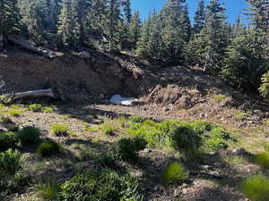 View of undeveloped land