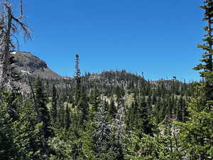View of mountain background with a heavily wooded area