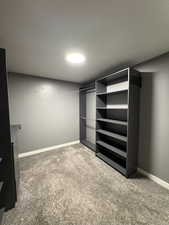 Spacious closet featuring light carpet