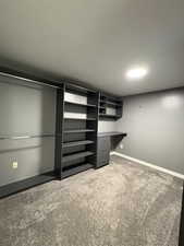 Walk in closet with light carpet