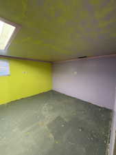 Additional living space with carpet flooring