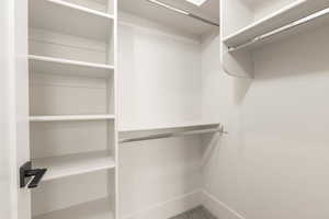 Spacious closet with carpet