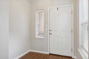 Entryway with plenty of natural light and dark wood-style flooring