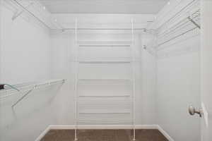 Spacious closet featuring dark colored carpet