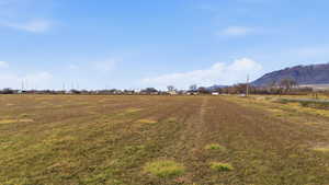 View of grassy yard featuring a view of rural / pastoral area