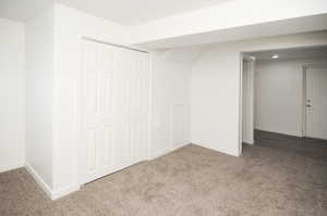 Flex space in basement