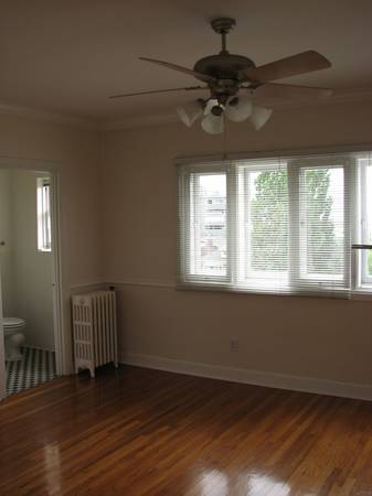 Apt # 8 > Empty room with crown molding, radiator, dark wood-style floors, and healthy amount of natural light