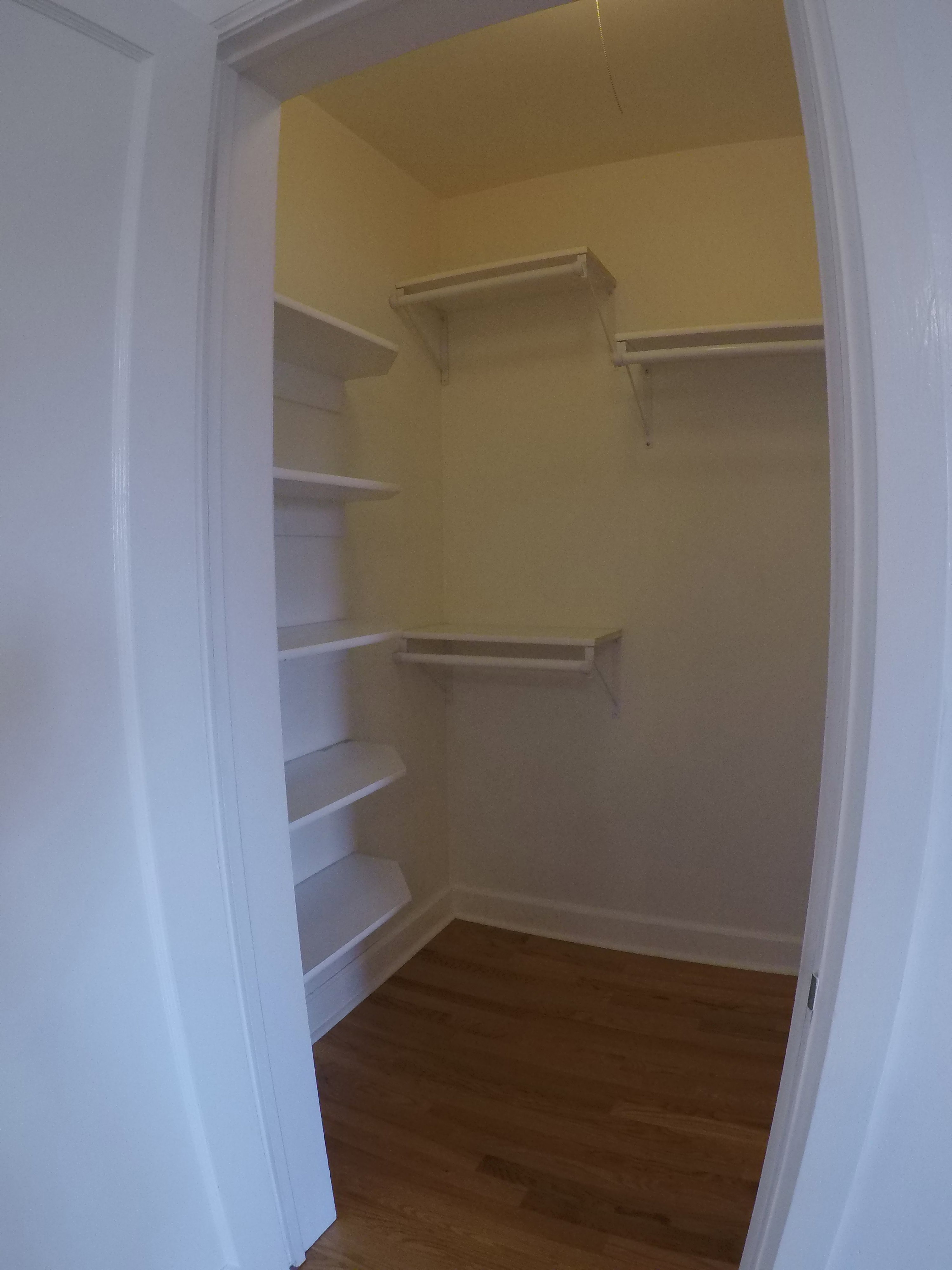 Apt #2 >  Walk in closet featuring dark wood-style floors