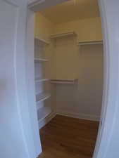 Apt #2 >  Walk in closet featuring dark wood-style floors