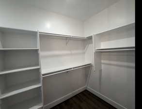 Spacious closet featuring dark wood-type flooring