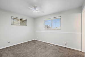 Primary Bedroom with New Fan Lighting
