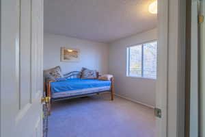 5th Bedroom featuring carpet flooring and a textured ceiling