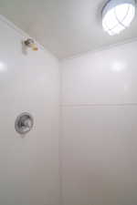 Detailed view of shower in bonus room