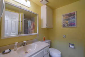 3/4 bathroom on main level featuring vanity and curtained shower