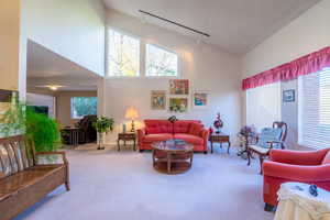Carpeted living room featuring track lighting, high vaulted ceiling, and a textured ceiling