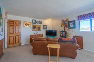 TV area in Primary Bedoom with a textured ceiling and carpet
