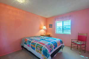 Carpeted 4th bedroom featuring a textured ceiling and baseboards