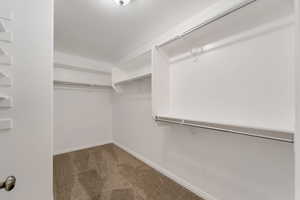 Walk in closet with carpet flooring