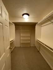 Spacious closet featuring light carpet