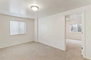 Unfurnished room featuring a textured ceiling, light carpet, and healthy amount of natural light