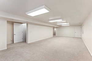 Finished below grade area with light colored carpet