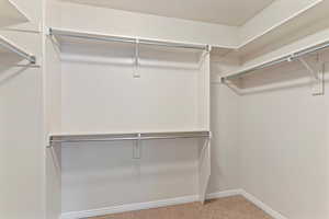 Spacious closet featuring light carpet
