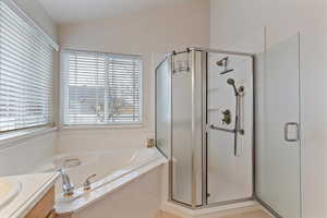 Full bathroom featuring vanity, a stall shower, a garden tub, and lofted ceiling