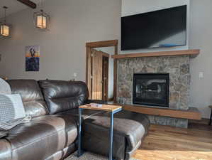 Living room featuring wood finished floors and a fireplace