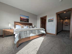 Bedroom featuring carpet flooring and a closet