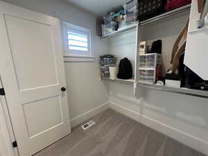 Walk in closet with carpet