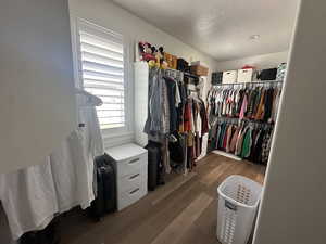 Spacious closet featuring dark wood-type flooring