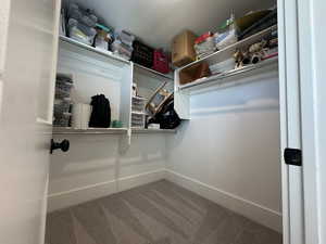 Spacious closet with carpet flooring
